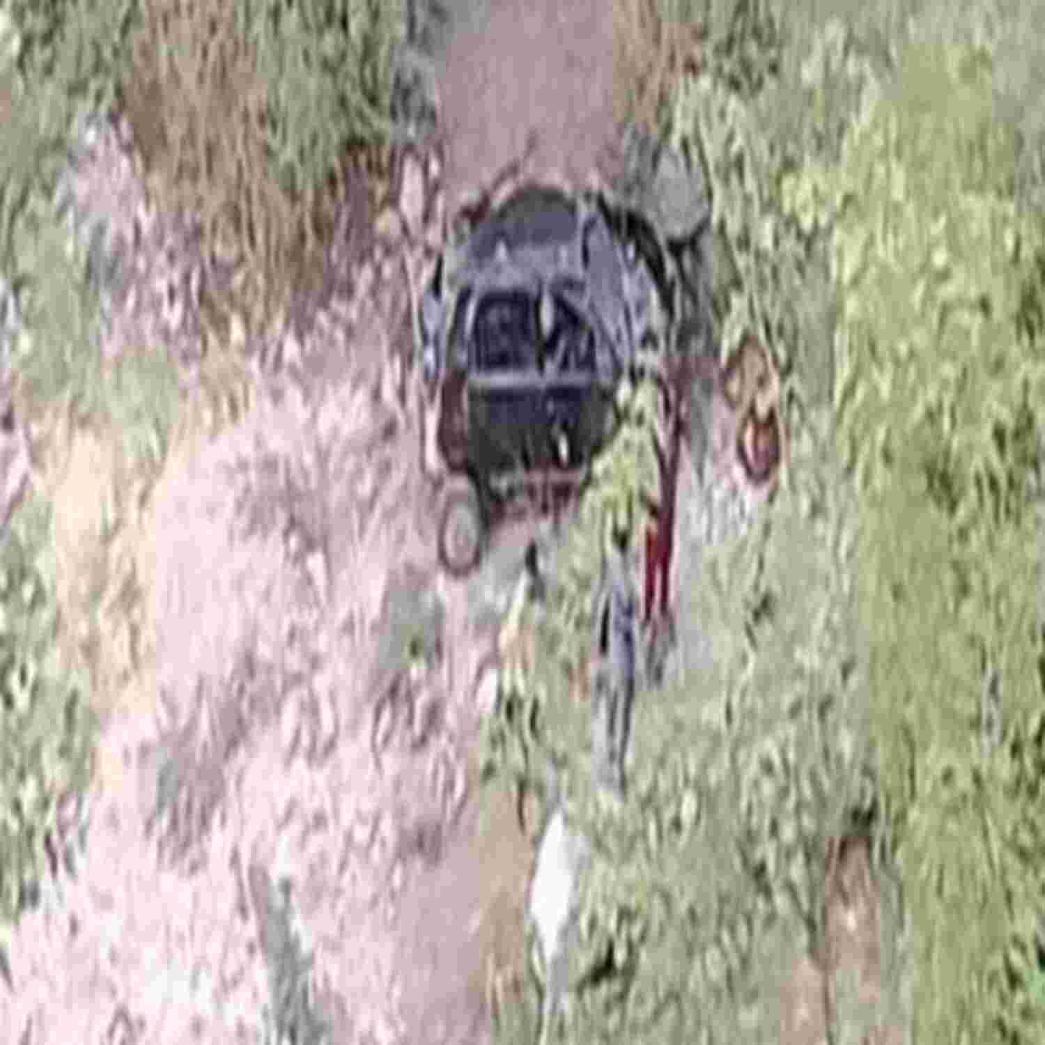 Disbalance: अनियंत्रित होकर 600 मीटर गहरी खाई में गिरी कार , तीन भाइयों सहित चार की मौत Disbalance: अनियंत्रित होकर 600 मीटर गहरी खाई में गिरी कार , तीन भाइयों सहित चार की मौत