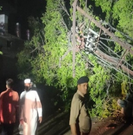 Accident: तेज आंधी के चलते गिरा विशालकाय पेड़, 2 की मौत 6 घायल