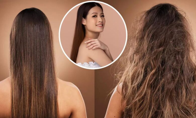 Hair care routine: न केवल त्वचा, बालों को भी मिल सकती है कांच जैसी चमक, बस इस हेयर केयर रूटीन को स्टेप बाई स्टेप फॉलो करें