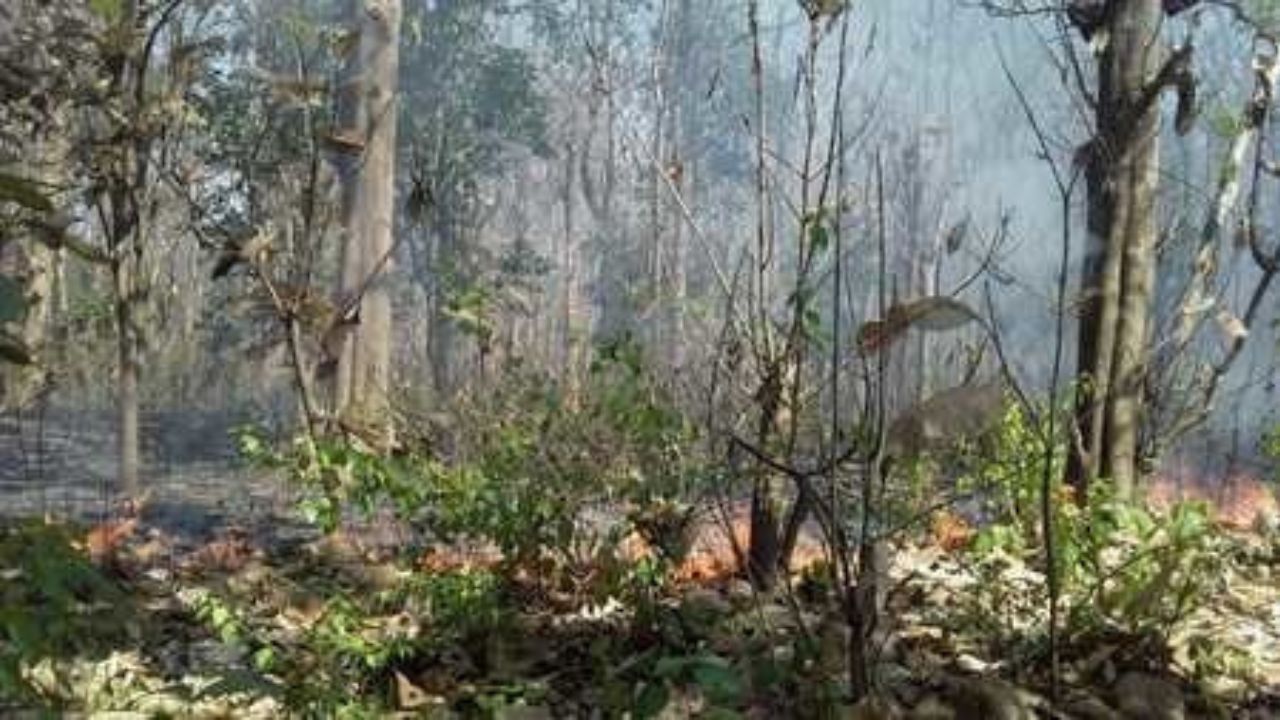 Uttarakhand: रामनगर में जंगल की जमानों के काले कारोबार की SIT जांच, DM की सिफारिश पर CM ने दी मंजूरी