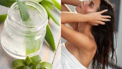 Aloe vera conditioner: एलोवेरा जेल से बनाएं हेयर कंडीशनर, झड़ते और सूखे बालों के लिए असरदार