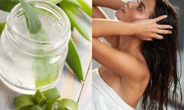 Aloe vera conditioner: एलोवेरा जेल से बनाएं हेयर कंडीशनर, झड़ते और सूखे बालों के लिए असरदार