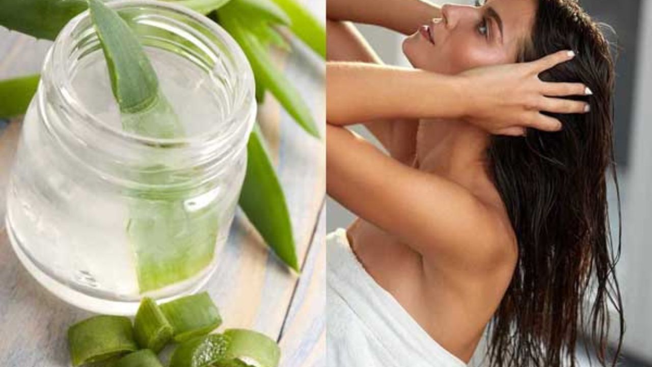 Aloe vera conditioner: एलोवेरा जेल से बनाएं हेयर कंडीशनर, झड़ते और सूखे बालों के लिए असरदार