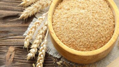 Bran beneficial in diabetes: डायबिटीज के मरीजों के लिए गेहूं का चोकर है लाभकारी, इसके कण करते हैं शुगर को अवशोषित; जानिए इसका उपयोग कैसे करें