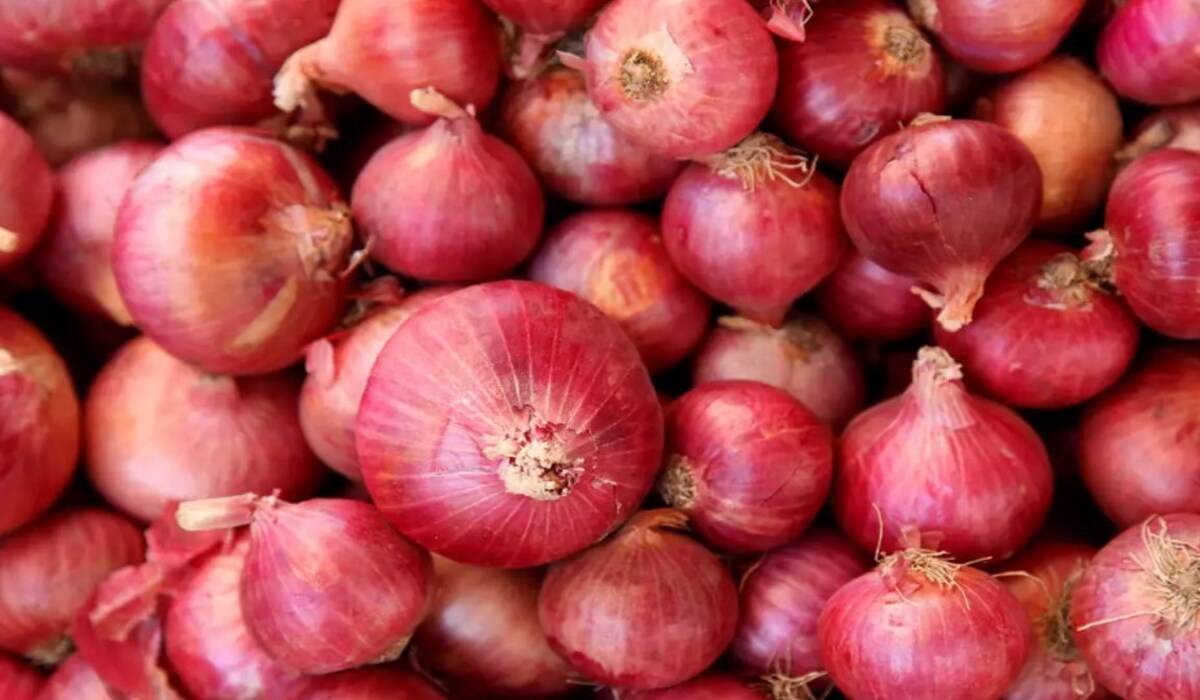 Roorkee: कांवड़ियों ने गार्लिक-प्याज का खाना परोसने पर ढाबे में तोड़ फोड़ की, पुलिस ने मालिक को किया गिरफ्तार