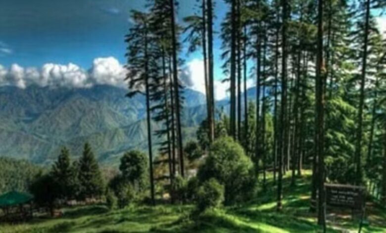 Dehradun: उत्तराखंड के 104 वर्ग किलोमीटर वन पर कब्जा… सैकड़ों पेड़ काटे गए, वन विभाग की भूमिका पर सवाल Dehradun: उत्तराखंड के 104 वर्ग किलोमीटर वन पर कब्जा… सैकड़ों पेड़ काटे गए, वन विभाग की भूमिका पर सवाल