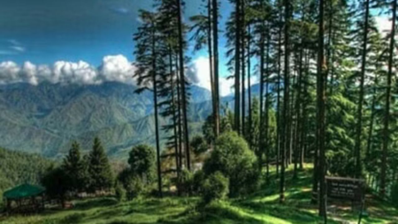 Dehradun: उत्तराखंड के 104 वर्ग किलोमीटर वन पर कब्जा… सैकड़ों पेड़ काटे गए, वन विभाग की भूमिका पर सवाल Dehradun: उत्तराखंड के 104 वर्ग किलोमीटर वन पर कब्जा… सैकड़ों पेड़ काटे गए, वन विभाग की भूमिका पर सवाल