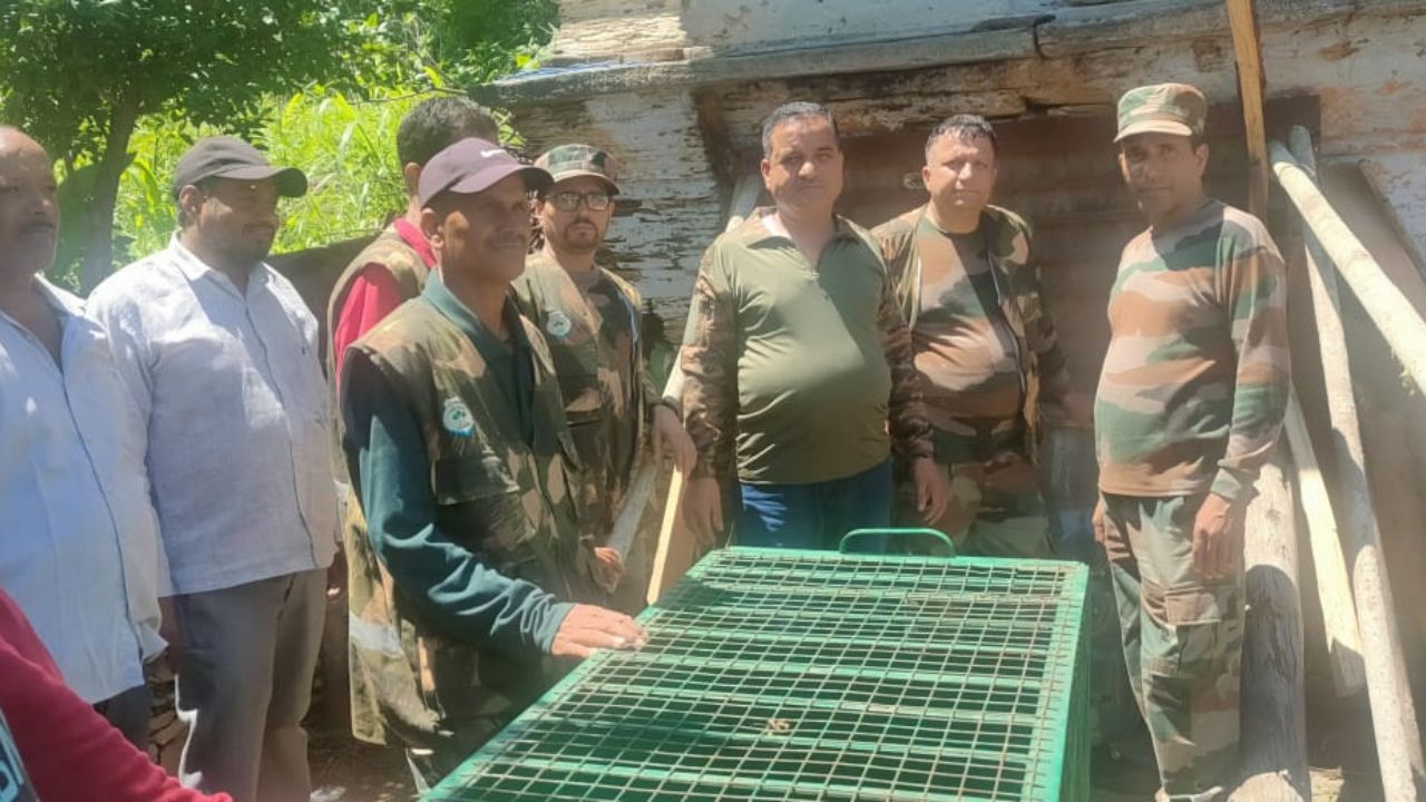 Uttarakhand: टिहरी के पिपली गांव में गौशाला में घुसा तेंदुआ, लोगों ने दरवाजा बंद कर किया कैद, देखने के लिए जुटी भीड़ Uttarakhand: टिहरी के पिपली गांव में गौशाला में घुसा तेंदुआ, लोगों ने दरवाजा बंद कर किया कैद, देखने के लिए जुटी भीड़