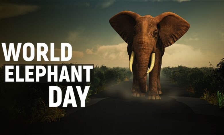 World Elephant Day: उत्तराखंड में हाथी एक चुनौती के साथ गर्व, आक्रामक व्यवहार और मानव-वन्यजीव संघर्ष की बढ़ती घटनाएँ