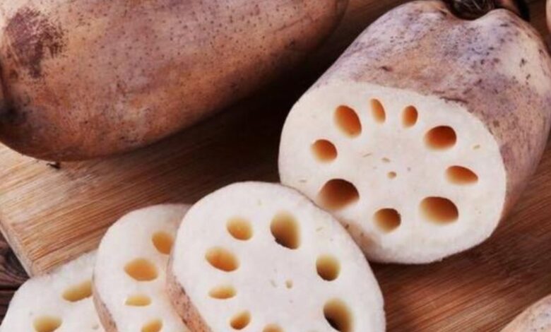 Lotus cucumber: स्वास्थ्य के लिए अत्यंत लाभकारी, अपनी डाइट में शामिल कर बनाएं शरीर को मजबूत