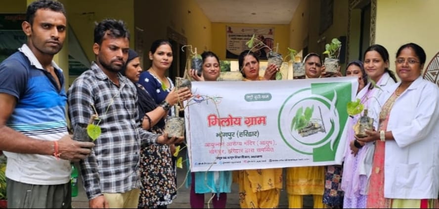 Haridwar: हरिद्वार के बिहारीनगर गांव को बनाया अश्वगंधा विलेज’, जानें क्षेत्र वासियों के लिए कैसे फायदेमंद होगी यह पहल