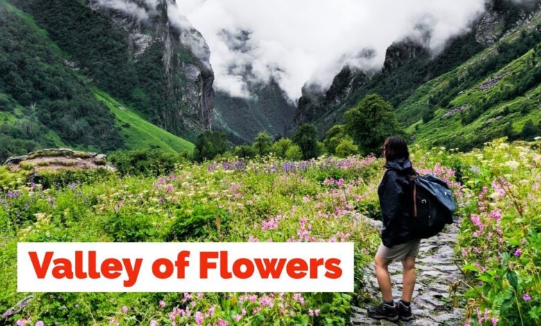 Valley of Flowers: 31 अक्टूबर तक कर सकेंगे फूलों की घाटी के दीदार, पर्यटकों की संख्या 19,425 पहुंची