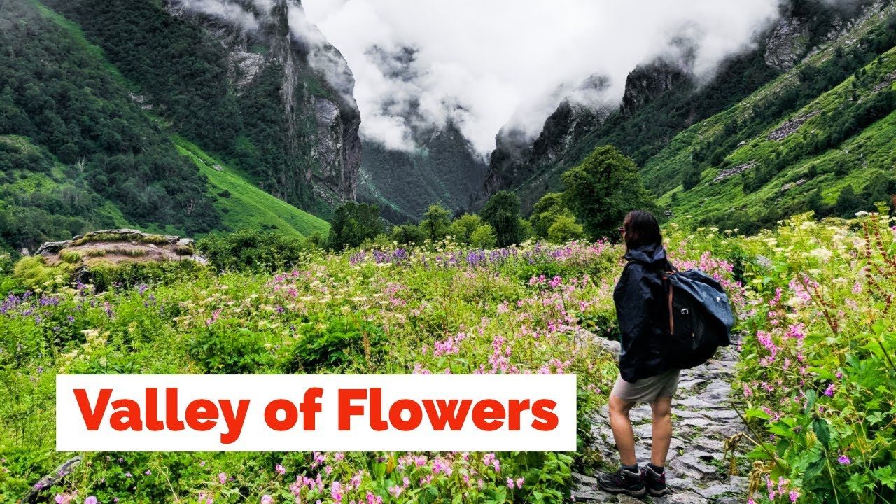 Valley of Flowers: 31 अक्टूबर तक कर सकेंगे फूलों की घाटी के दीदार, पर्यटकों की संख्या 19,425 पहुंची Valley of Flowers: 31 अक्टूबर तक कर सकेंगे फूलों की घाटी के दीदार, पर्यटकों की संख्या 19,425 पहुंची