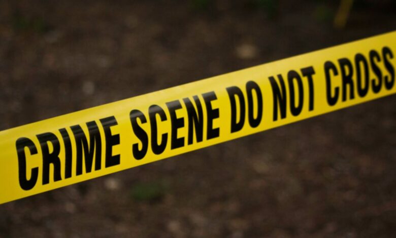 Double murder in Punjab: बाइक सवार हमलावरों ने पिता और बेटे की गोली मारकर हत्या