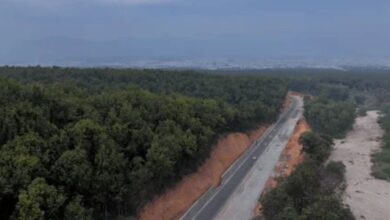 Indias First Sal Nursery: दिल्ली-देहरादून एक्सप्रेसवे के लिए काटे गए 11 हजार पेड़ों की कमी को पूरा किया जाएगा