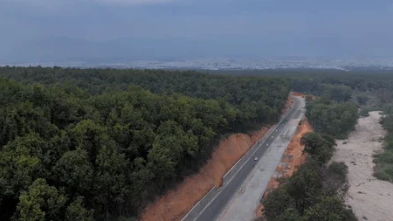 Indias First Sal Nursery: दिल्ली-देहरादून एक्सप्रेसवे के लिए काटे गए 11 हजार पेड़ों की कमी को पूरा किया जाएगा