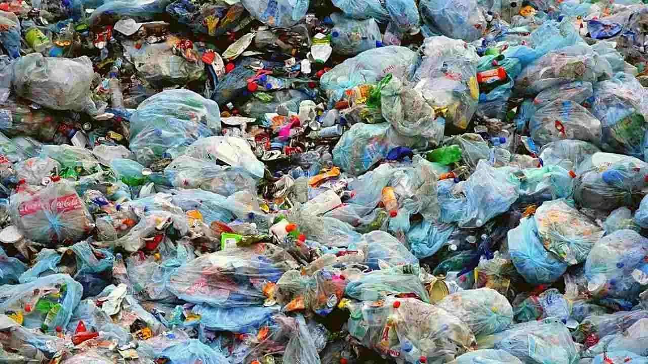 Dehradun News: खुले में कचरा फेंकने वालों के लिए चेतावनी, QR कोड से होगा कड़ा शिकंजा, कैसे? जानिए इस खबर में Dehradun News: खुले में कचरा फेंकने वालों के लिए चेतावनी, QR कोड से होगा कड़ा शिकंजा, कैसे? जानिए इस खबर में
