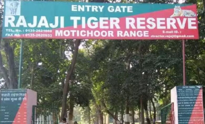 Uttarakhand News: राजाजी पार्क के दरवाजे पर्यटकों के लिए खोले गए, देखें तस्वीरों में झलक