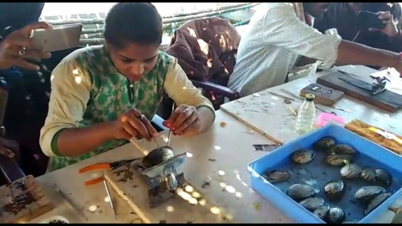 Uttarakhand में मोती पालन, डिजाइनर मोतियों का नया कारोबार, अब दक्षिणी राज्यों में चमकेंगे Uttarakhand में मोती पालन, डिजाइनर मोतियों का नया कारोबार, अब दक्षिणी राज्यों में चमकेंगे