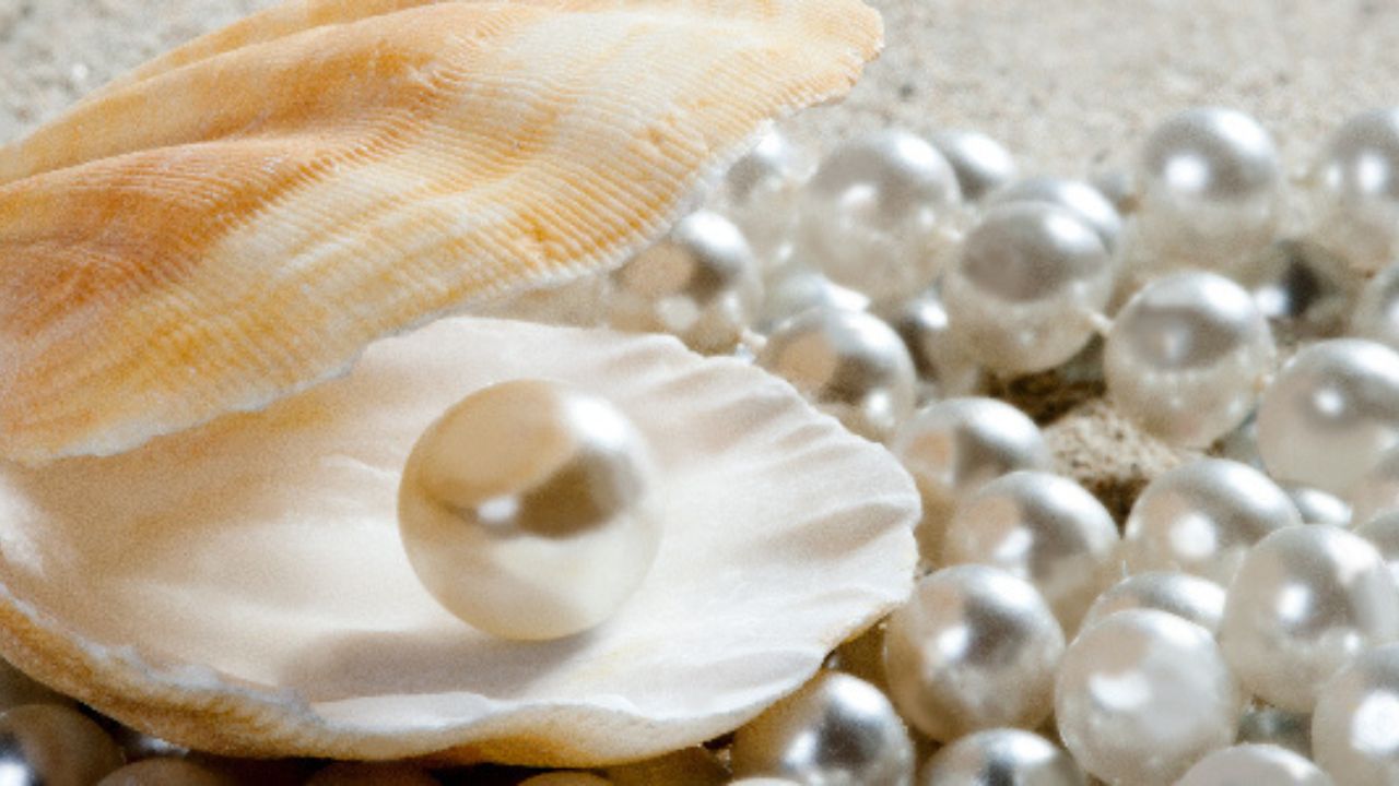 Uttarakhand में मोती पालन, डिजाइनर मोतियों का नया कारोबार, अब दक्षिणी राज्यों में चमकेंगे