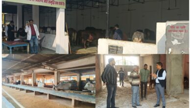 Roorkee: ज्वाइंट मजिस्ट्रेट की गौशाला पर छापेमारी कार्यवाही, व्यवस्था संतोषजनक पाए जाने पर जिलाधिकारी को सौंपी रिपोर्ट