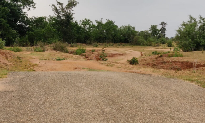 Uttarakhand News: सड़क खुदाई की अनुमति में अब होगी सार्वजनिक भागीदारी, DM ने जारी किए निर्देश Uttarakhand News: सड़क खुदाई की अनुमति में अब होगी सार्वजनिक भागीदारी, DM ने जारी किए निर्देश