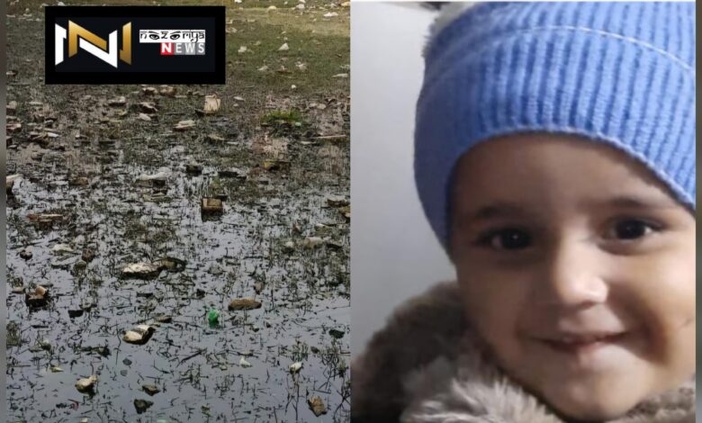 Roorkee: प्लाट में भरे पानी के बीच जल मुर्गी को पकड़ने को गई डेढ़ साल की बच्ची की डूबने से मौत,  परिजनों में कोहराम