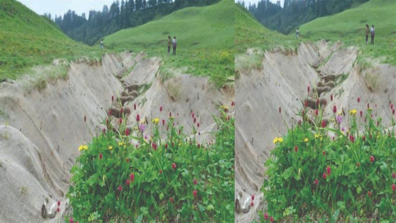 Uttarakhand news: उत्तराखंड में बुग्यालों का एटलस होगा तैयार, स्वास्थ्य संबंधी भी मिलेगी जानकारी