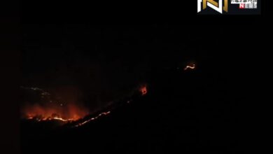 Uttarakhand: अल्मोड़ा के द्वाराहाट में भीषण वनाग्नि, हजारों पेड़ खाक