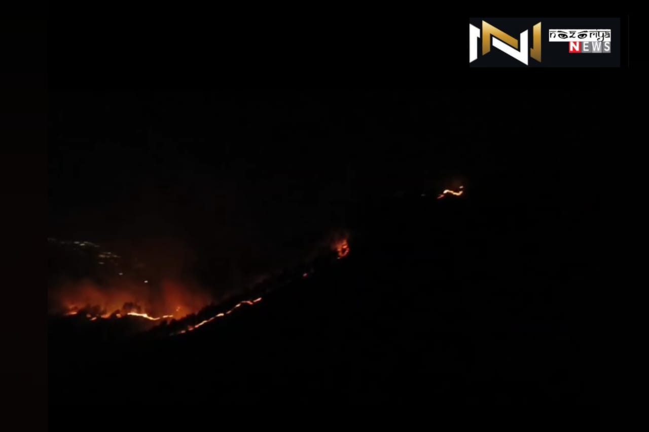 Uttarakhand: अल्मोड़ा के द्वाराहाट में भीषण वनाग्नि, हजारों पेड़ खाक
