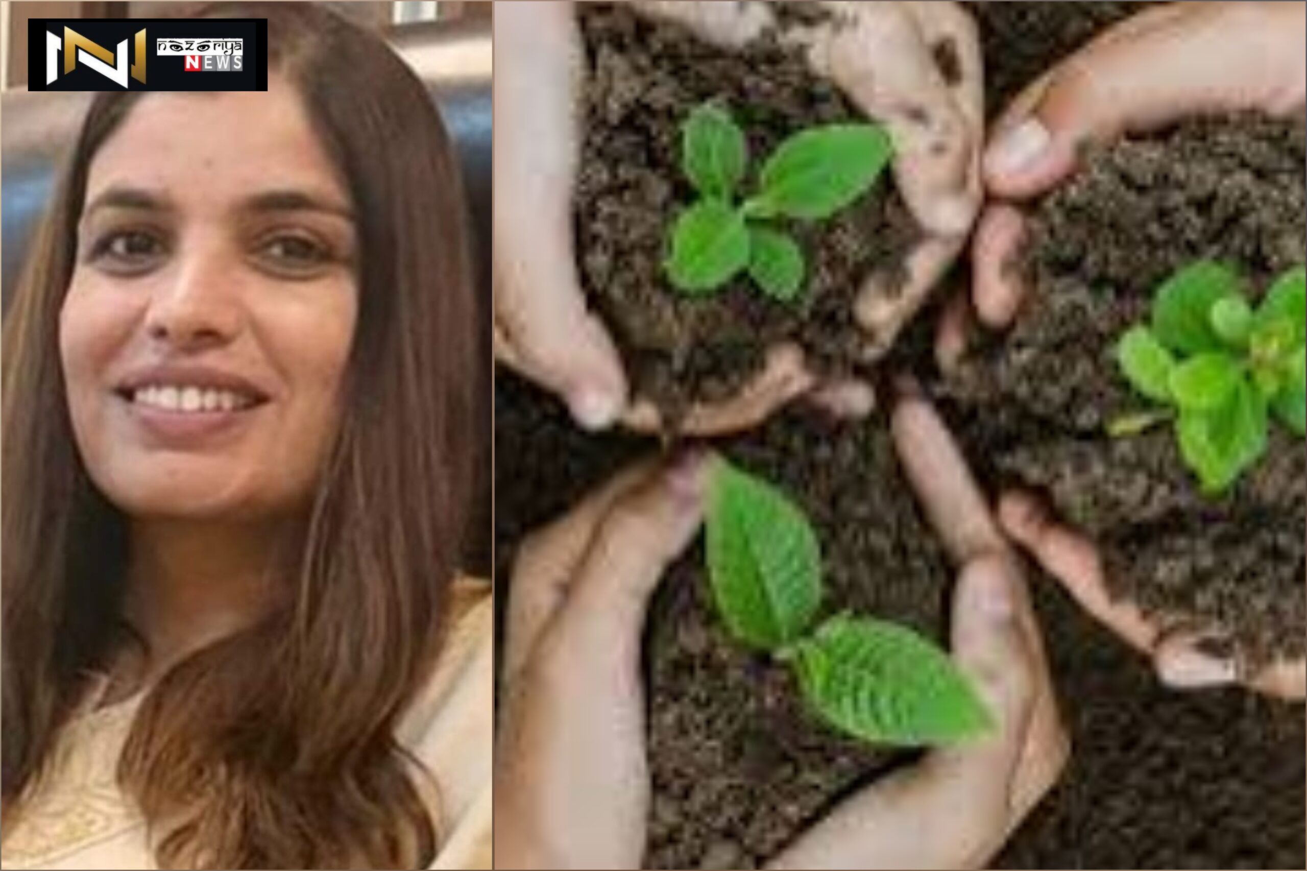 Uttarakhand: हरेला पर्व पर आबकारी विभाग का अभियान, हर मंगलवार लगेगें 50 पौधे, आदेश जारी