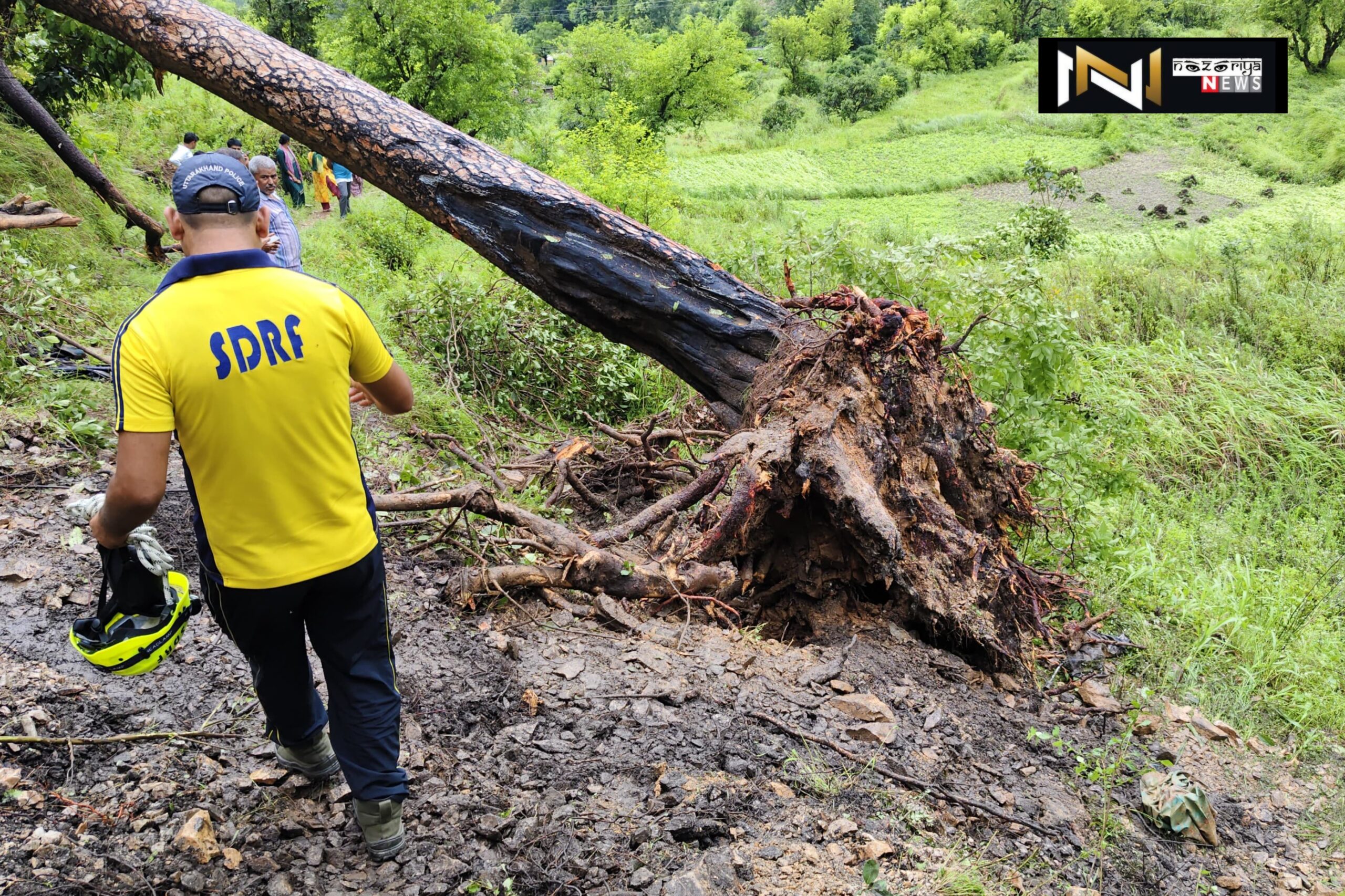 Uttarakhand: स्कूल से लौट रहे दो बच्चों की पेड़ गिरने से दर्दनाक मौत