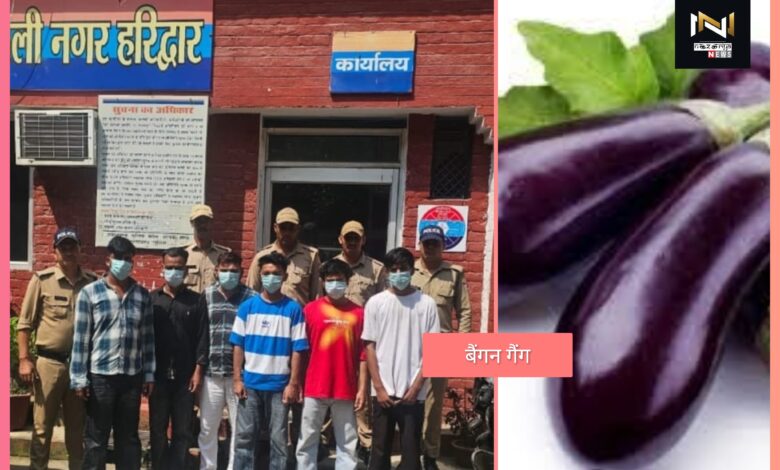 Haridwar: पुलिस ने बनाया  बैंगन गैंग का भर्ता, गणेश महोत्सव के दौरान मारपीट व फायरिंग में सरगना सहित 6 गिरफ्तार, अन्य की तलाश जारी