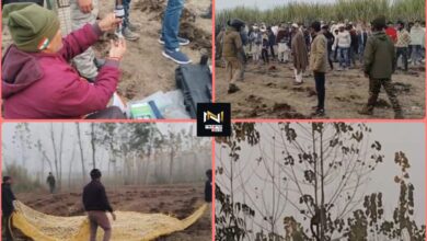 Roorkee: पॉपुलर के पेड़ पर उल्टा लटका मिला गुलदार, वन विभाग की टीम ने रेस्क्यू कर  सुरक्षित बचाया