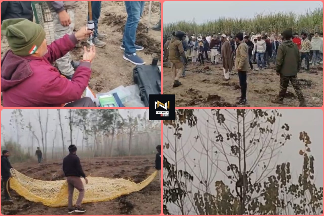 Roorkee: पॉपुलर के पेड़ पर उल्टा लटका मिला गुलदार, वन विभाग की टीम ने रेस्क्यू कर सुरक्षित बचाया Roorkee: पॉपुलर के पेड़ पर उल्टा लटका मिला गुलदार, वन विभाग की टीम ने रेस्क्यू कर सुरक्षित बचाया