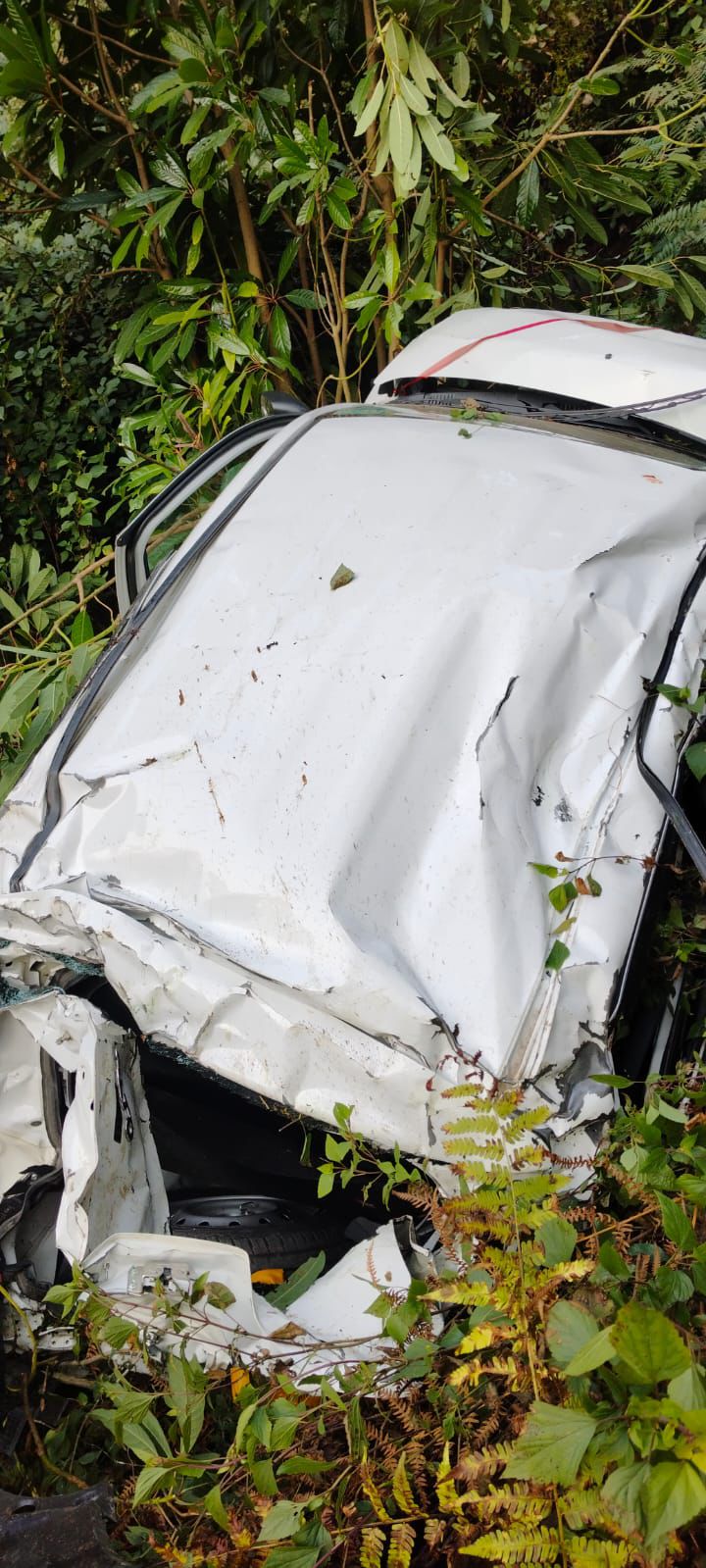 Uttarakhand: गहरी खाई में कार गिरी, दो की मृत्यु, एक घायल