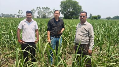Uttarakhand: सहायक गन्ना आयुक्त आशीष नेगी द्वारा काशीपुर परिक्षेत्र में गन्ना सर्वेक्षण कार्यों का‌ औचक निरीक्षण