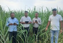 Kashipur: गन्ना विकास परिषद काशीपुर द्वारा विभागीय स्थापित पौधशालाओं एवं योजनाओं के क्रियान्वन का निरीक्षण