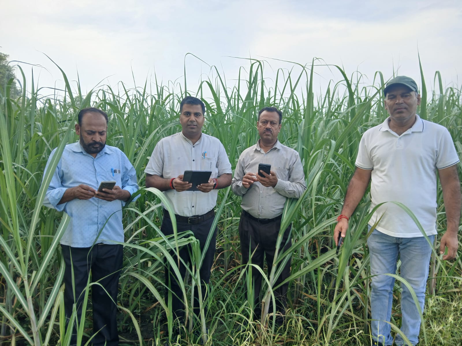 Kashipur: गन्ना विकास परिषद काशीपुर द्वारा विभागीय स्थापित पौधशालाओं एवं योजनाओं के क्रियान्वन का निरीक्षण